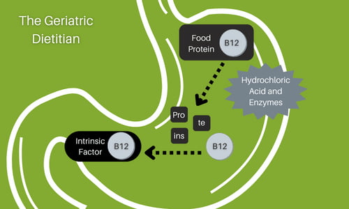 Absorption of Vitamin B12