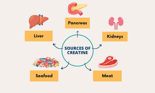 Creatine vs Creatinine - Creatine Sources.