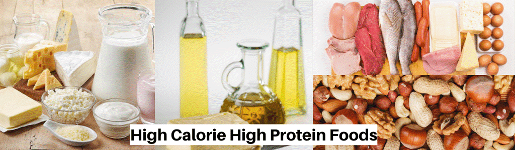 High Calorie High Protein Foods