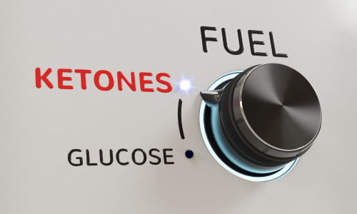 Ketones as Fuel.