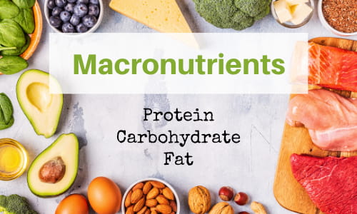 bread macronutrients